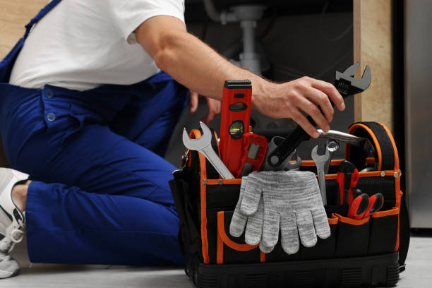 Best Local Plumber Services  in Meadow Woods, FL